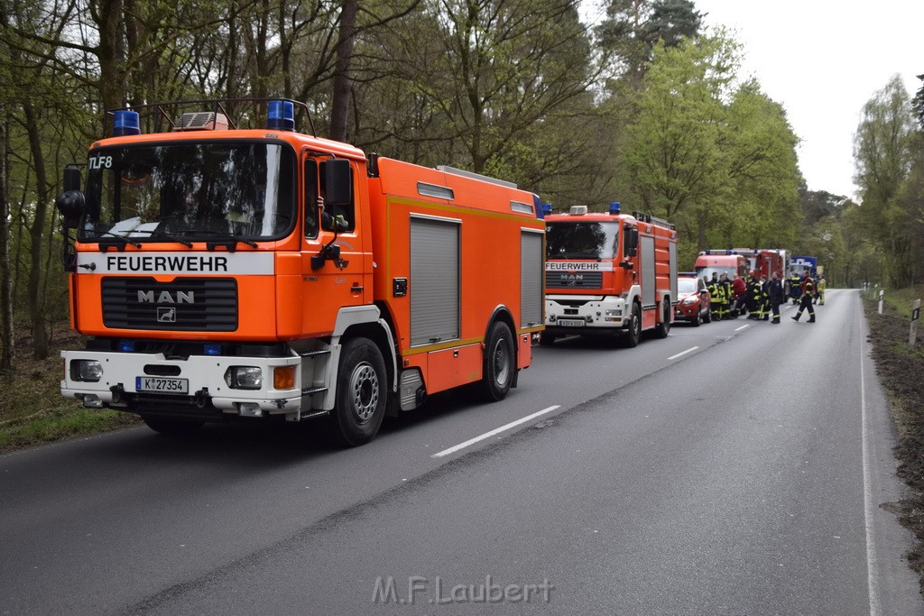 Waldbrand Wahner Heide Troisdorf Eisenweg P264.JPG - Miklos Laubert